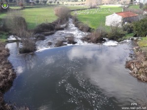 DSCF1992